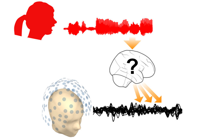 Neurocurrent response function 2.0